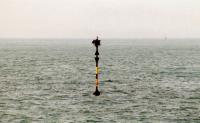 21360 Bajo de Laja Bermeja. Puerto Deportivo de Benalmádena