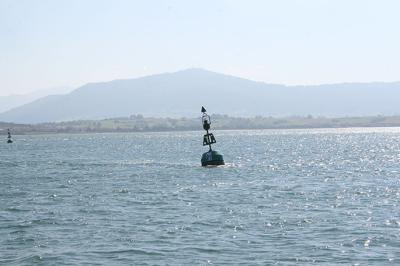 BOYA P1.- Luis Lorenzo.- CANAL DE PEDREÑA BOYA P1.- Luis Lorenzo.- CANAL DE PEDREÑA