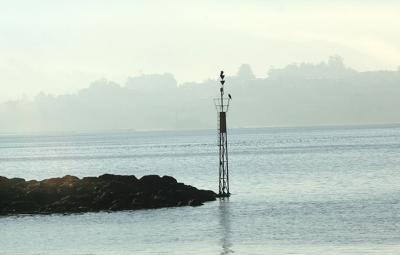 05147 Islote Don Pedro. Extremo SW. Ría de Vigo. Puerto de Santa Cristina de Cobres 05147 Islote Don Pedro. Extremo SW. Ría de Vigo. Puerto de Santa Cristina de Cobres
