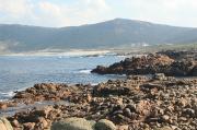  Area de Trece