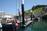 Puerto de Armintza. 