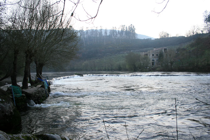 Pesqueiras de lamprea