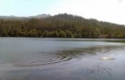 Embalse de Zamáns