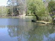 Lago Castiñeiras 