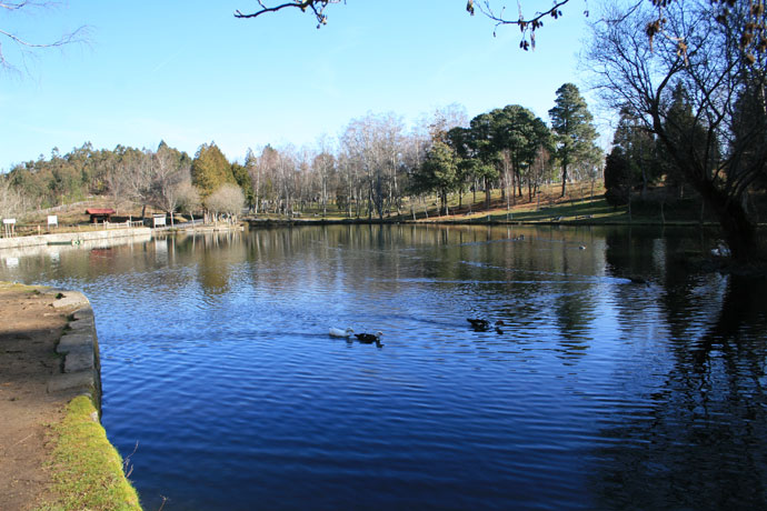 Lago Castiñeiras Lago Castiñeiras