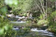 Río Cerves