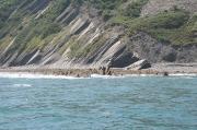 Flysch intermareal Deva - Zumaia