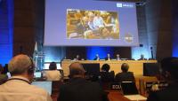 España reelegida como miembro del Comité Ejecutivo de la Comisión Oceanográfica Intergubernamental de la UNESCO