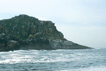 cies_vista06