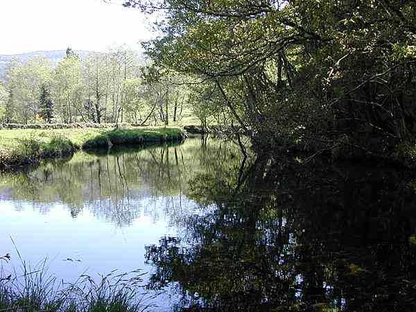 Río Almofrei. Pontevedra Río Almofrei. Pontevedra