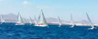 Amplia representación Conejera en Sotogrande