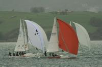 Sea dog comienza mandando  el trofeo Ubaldis para los j80 santanderinos