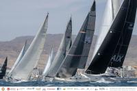 Red Shark, Olivita y Yiyi ya mandan en la Ruta del Coral Costa de Almería