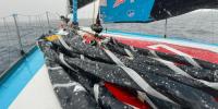 Los récords de Hornos a punto de caer. El cansancio, una sombra fiel en la Vendée Globe 