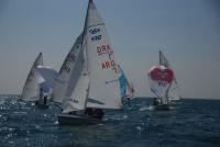 Barreiros/Sarmiento en 470M, Hernández en Laser y Bezel/Thilo en 470W virtuales ganadores de la Semana Olímpica de Barcelona