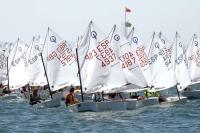 El RCN Torrevieja revalida su liderazgo como Campeón Autonómico de Optimist por Equipos