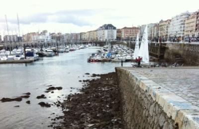 Santander. Snipe: las victorias se las repartieron el Mojito y el Chiqui IV, la tripulación de este ultimo se hizo con el trofeo en liza. Santander. Snipe: las victorias se las repartieron el Mojito y el Chiqui IV, la tripulación de este ultimo se hizo con el trofeo en liza.