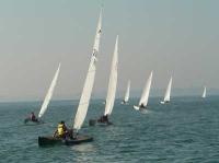 XII Liga de Patín a Vela-11ª jornada  Juan Luis Páez se adjudica los dos tantos de la penúltima jornada