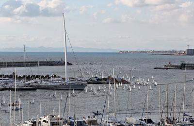 Éxito de inscripción en el 14º TROFEO EUROMARINA OPTIMIST TORREVIEJA 2022 que cuelga el cartel de completo Éxito de inscripción en el 14º TROFEO EUROMARINA OPTIMIST TORREVIEJA 2022 que cuelga el cartel de completo